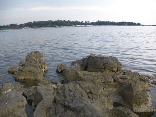 Ztoka Vela draga