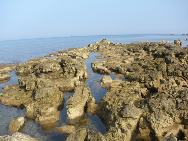 Cliffs and Marine World