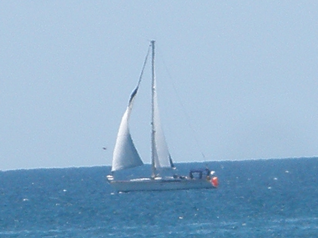 Plachetnice