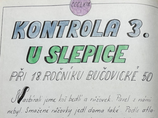 Kontrola . 3 U slepice