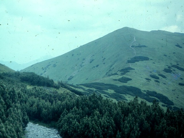 Turistick kronika 1985