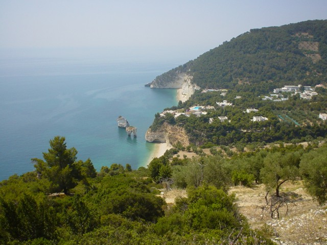 Gargano 2003