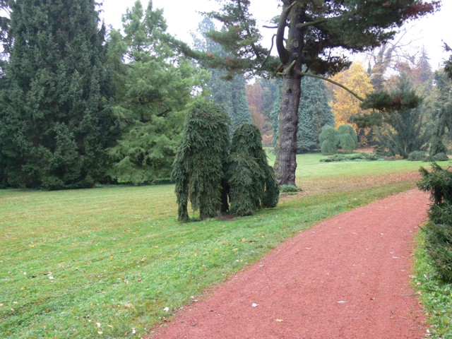 Anglick park