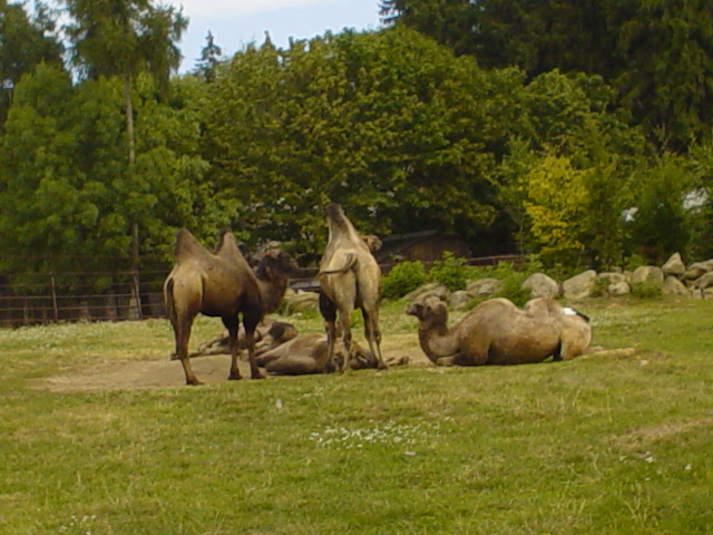 ZOO Olomouc