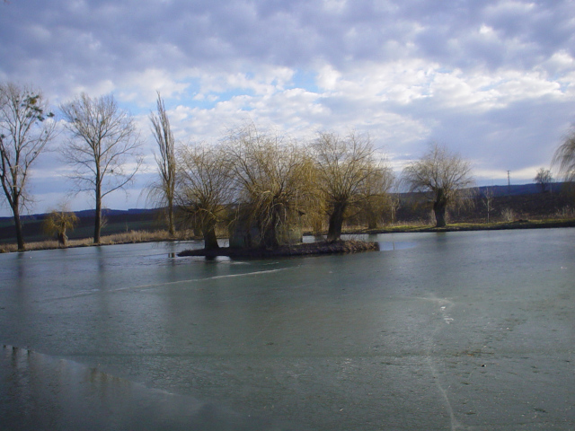 Buovice Ponds