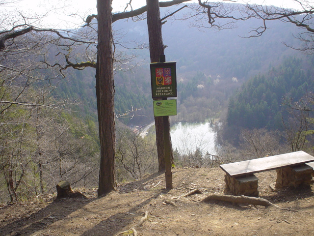 Lookout at the bench