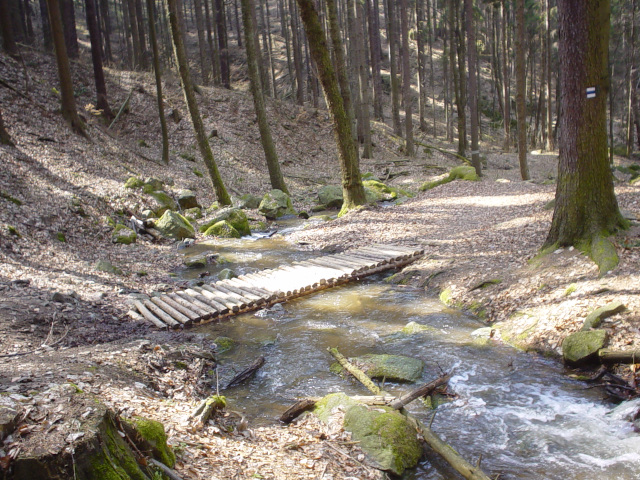 Palava Stream