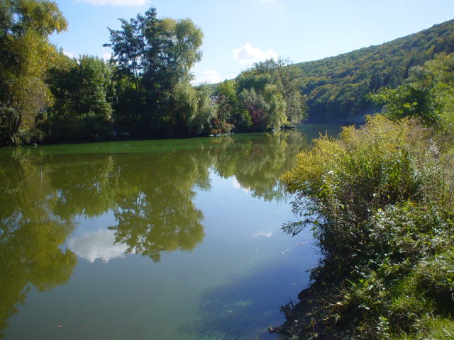 Svratka River