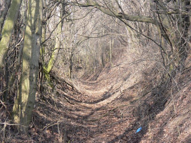 Tunnel above ernn