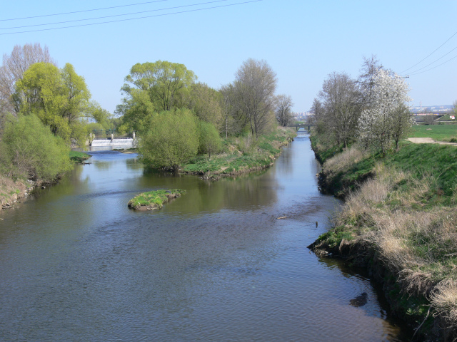 Confluence of the Svratka and Svitava