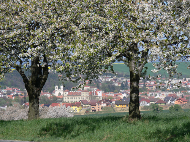 Buovice