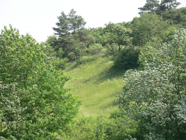 Baraka Nature Reserve