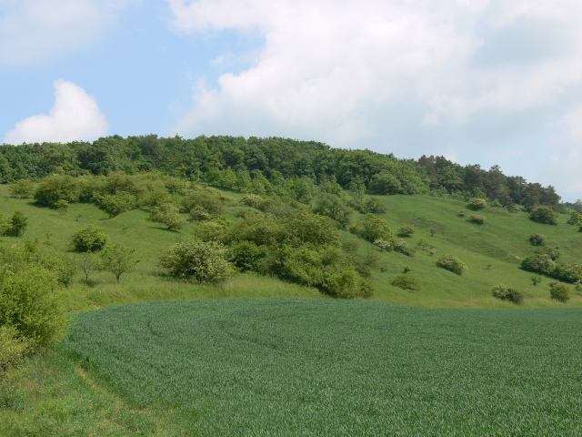 Malhotky Nature Reserve