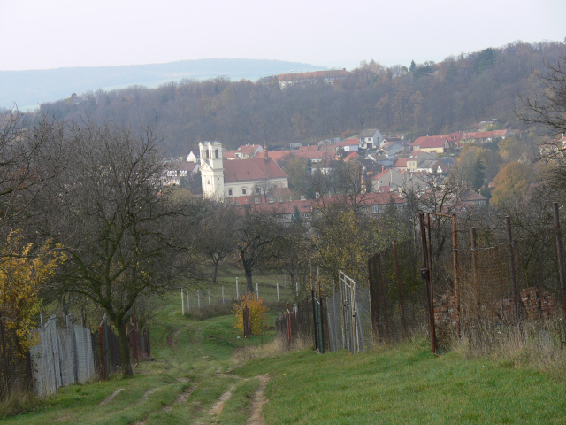 Buovice