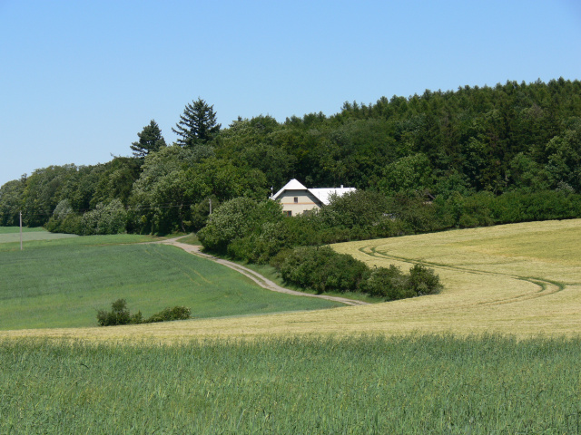 ernn Forest Lodge