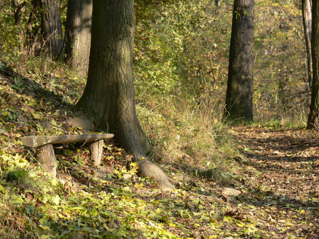 Autumn in Buovice