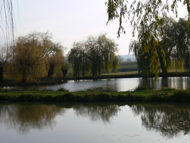 Buovice Ponds