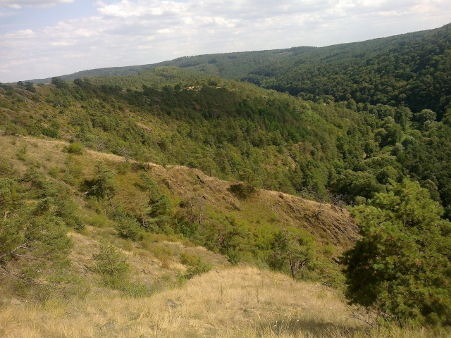 Mohelno Slate Steppe