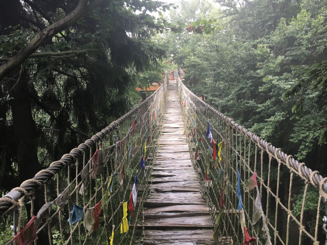 Himaljsk chodnk