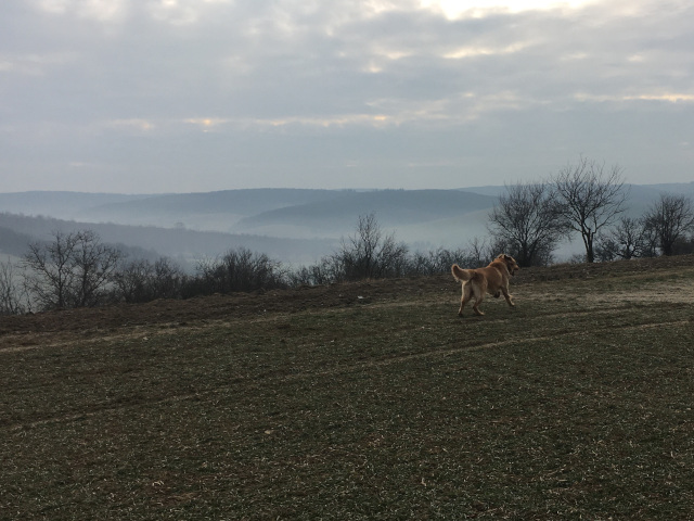 Soumrak nad emenci