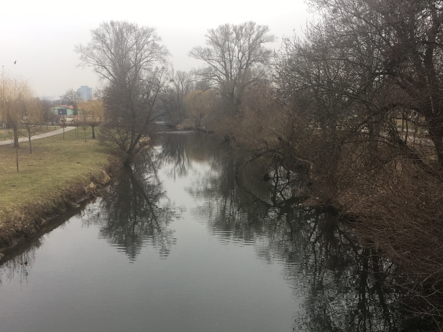 Svratka River in Brno